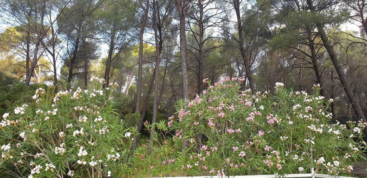 La Teze Vila Le Castellet  Exterior foto